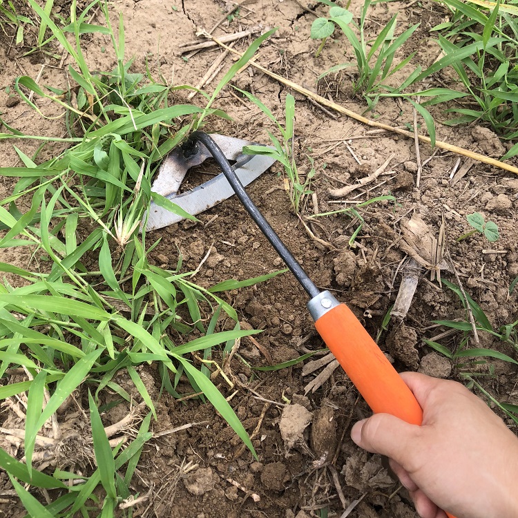 全钢淬火除草神器空心锄头漏土小薅锄种菜农具手握小锄锄草松土锄小号