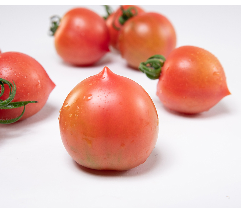 春桃柿子 圣女果小番茄新鲜果蔬 3斤【图片 价格 品牌 报价】-京东