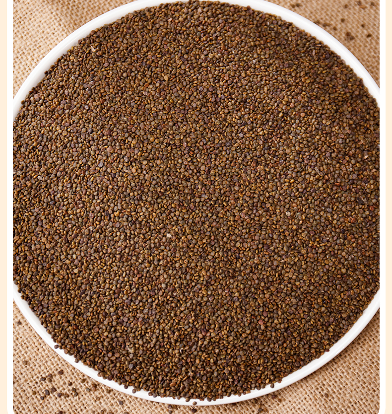 沙苑子中药材500g泡水泡茶沙苑蒺藜菟丝子枸杞茶包沙菀子颗粒新货 沙