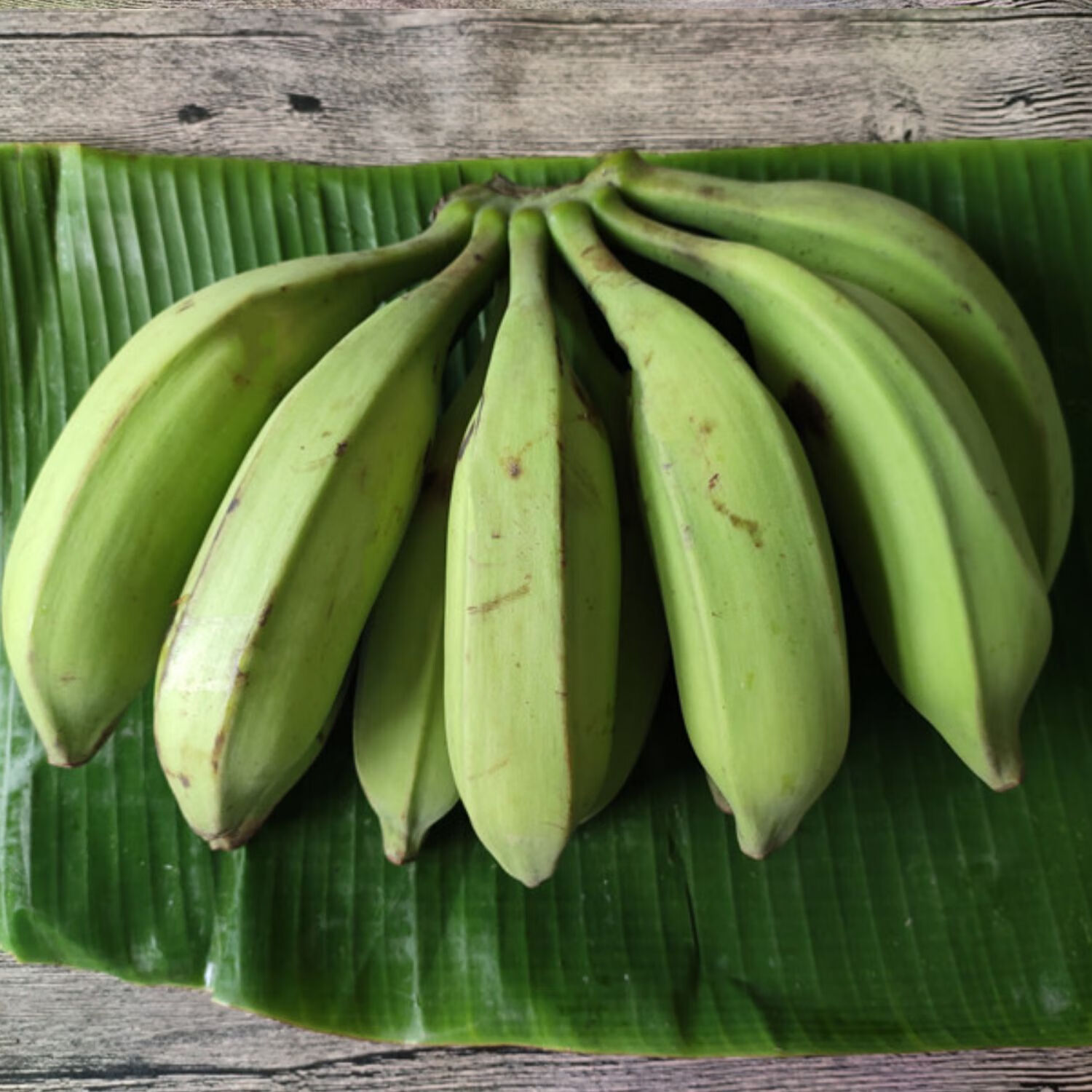 广西大芭蕉牛蕉牛角蕉广东大蕉酸香蕉酸甜大芭焦巴蕉非蕉粉蕉 5斤