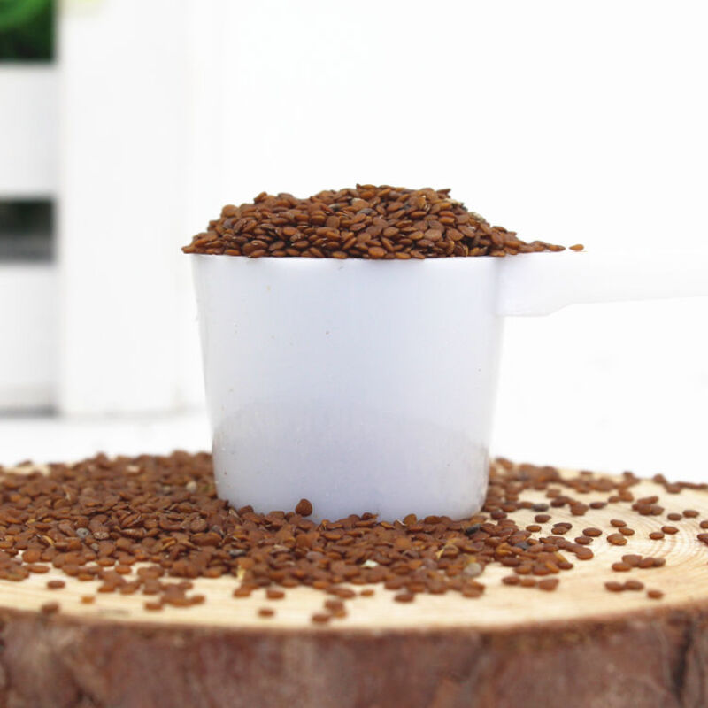 橙伯乐手工冰粉籽手搓商用四川网红气泡石花凉粉籽原料冰子冰籽贵州特