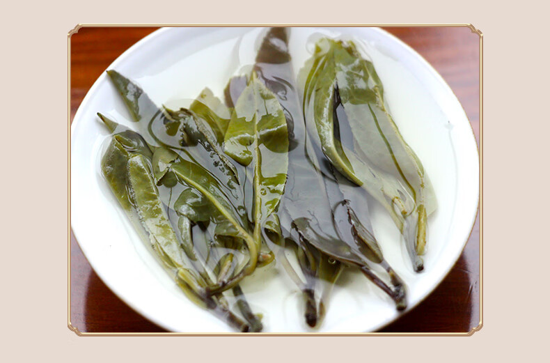 苦丁茶特级椰仙澄迈大叶苦丁花草茶160g罐装海南特产春茶嫩叶新茶茶叶