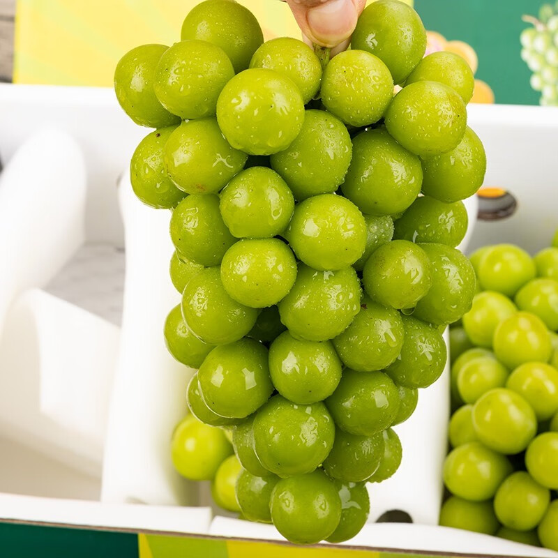 溏心风暴超甜晴王香印4斤礼盒装云南花香提子青提新鲜水果同城 1900g