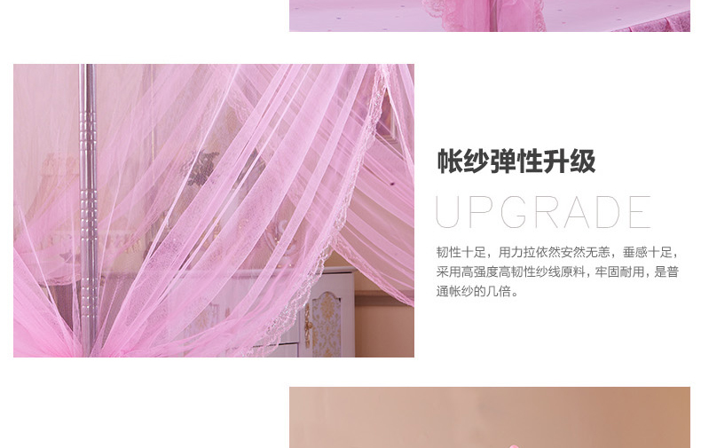 
                                        梦飘飘家纺  蚊帐三开门不锈钢加粗加厚支架落地式宫廷方顶公主蚊帐 心相印-紫色 2.0m床适用                