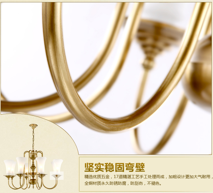 蒙特丽 客餐厅卧室吊灯 TDX3 欧式全铜灯具(B) 型号TT62-8头