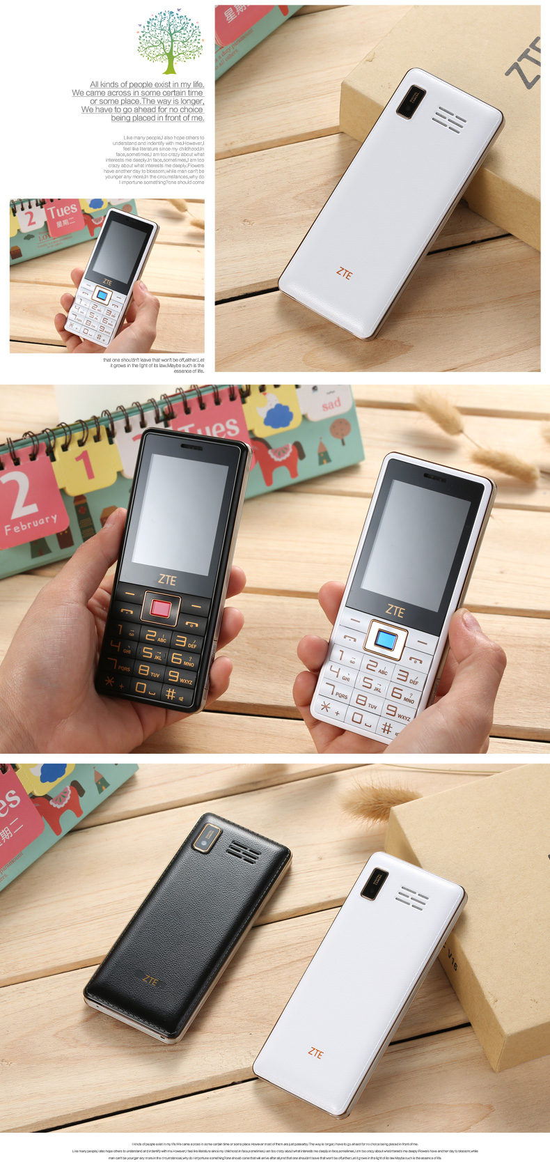 中兴（ZTE）ZTE-C V16 电信2G老人手机 白色