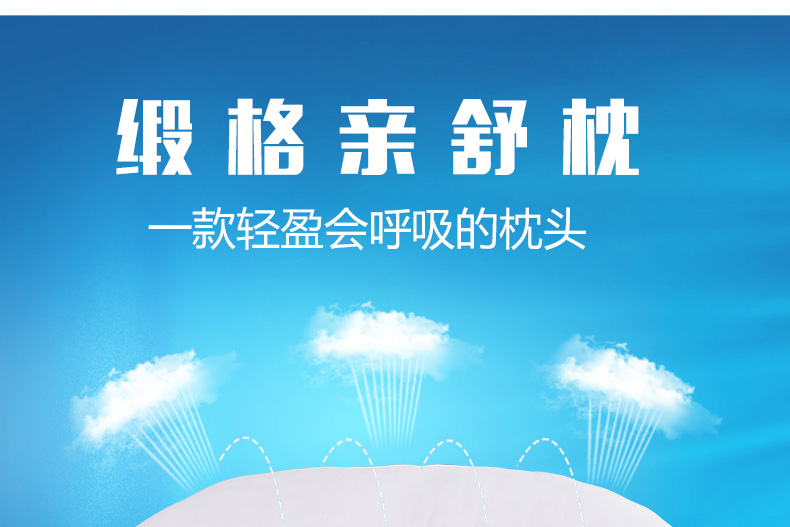 恒源祥集团彩羊家纺缎格枕芯枕头酒店专用柔软枕芯 亲舒枕一只(需要一对请拍2) 48*74