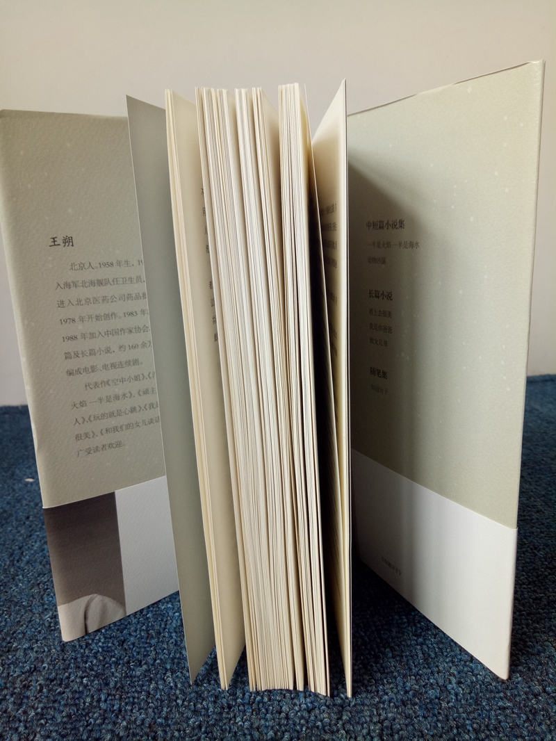 【二手99新】现货 王朔:知道分子(2015版) 精装 王朔文集:过把瘾就死