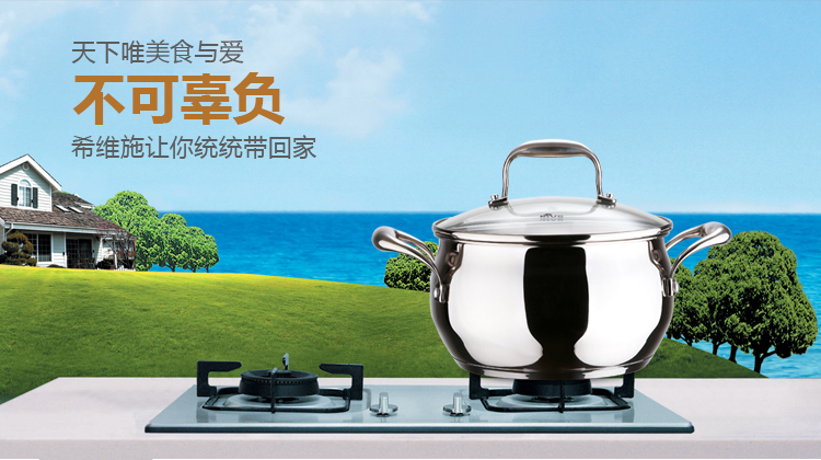 
                                        
                                        德国希维施HEVIS 复底30CM 304不锈钢炒锅炒菜锅 电磁炉炒锅锅具双耳中华炒锅                