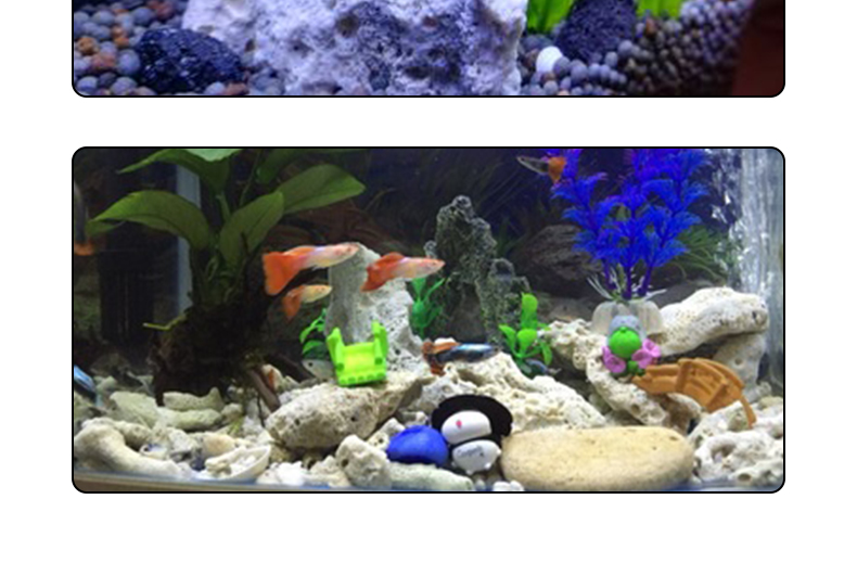 鱼缸装饰珊瑚石过滤活石珊瑚骨滤材造景石水族装饰摆件珊瑚沙 珊瑚砂