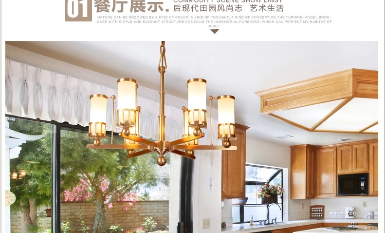 帝拿 现代全铜灯美式吊灯 欧式水晶纯铜客厅灯 简约书房吊灯灯具