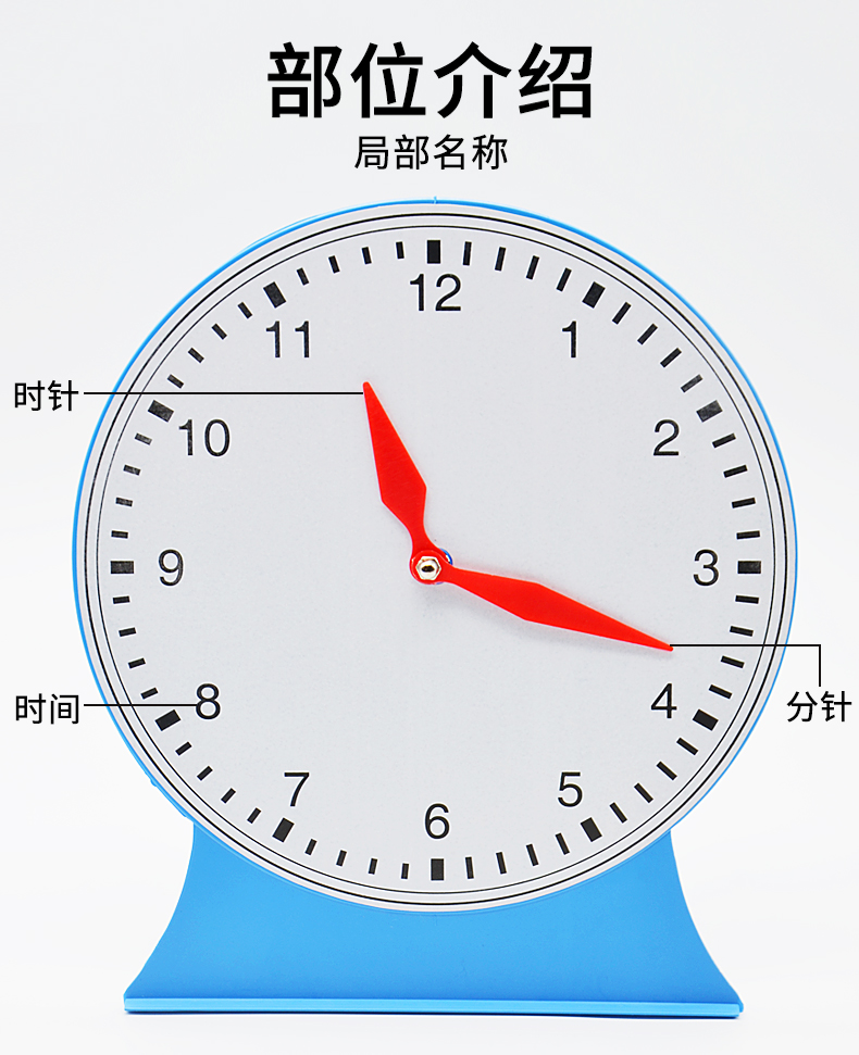 醉米鐘錶模型三針聯動非聯動12小時24小時制大號老師演示學生用