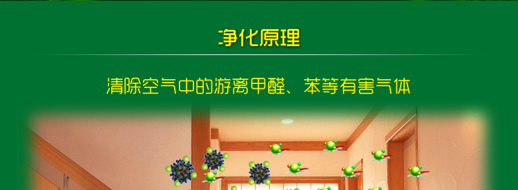 
                                        
                                                            绿驰 装修除味一喷净 新房装修家具甲醛清除剂 植物型除甲醛苯去油漆味 空气净化喷雾剂500ml                