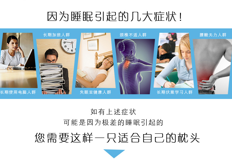 恒源祥集团彩羊家纺缎格枕芯枕头酒店专用柔软枕芯 亲舒枕一只(需要一对请拍2) 48*74