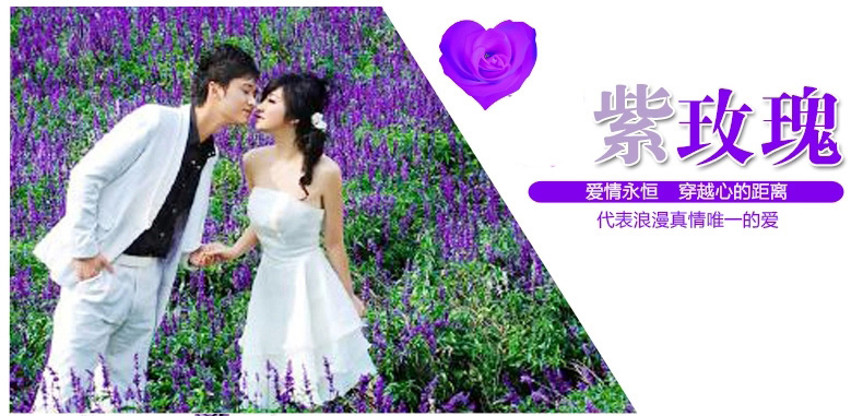 
                                                            昌辉（Changhui） 昌辉水晶珠帘门帘客厅帘子门帘隔断客厅卧室隔断浪漫玫瑰窗帘玫瑰 其他 定做一米一条拍前联系客服                