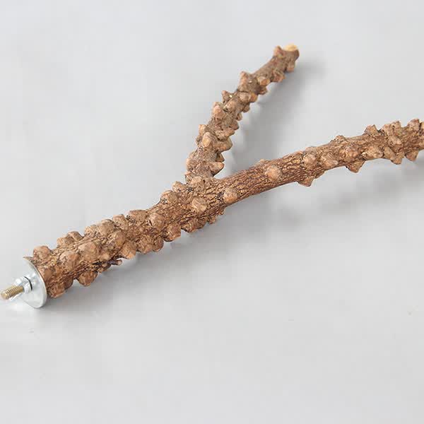 宠儿新家花椒树杈 鸟站棍 天然野生花椒木 磨爪棒栖杠 鹦鹉鸟站杆