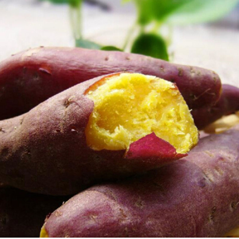 七果果 板栗香薯3斤 毁包赔甘薯 地瓜 番薯 临安特产 香甜软糯 栗子味