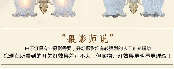 蒙特丽 客餐厅吊灯9055B-9头 欧式田园仿云石灯具 花朵(B)
