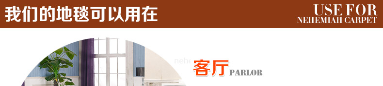 
                                        尼西米超柔地毯客厅 欧式现代宜家简约 时尚茶几地垫 加厚超柔卧室地毯 满铺定制 白驼色 0.7*1.6m                