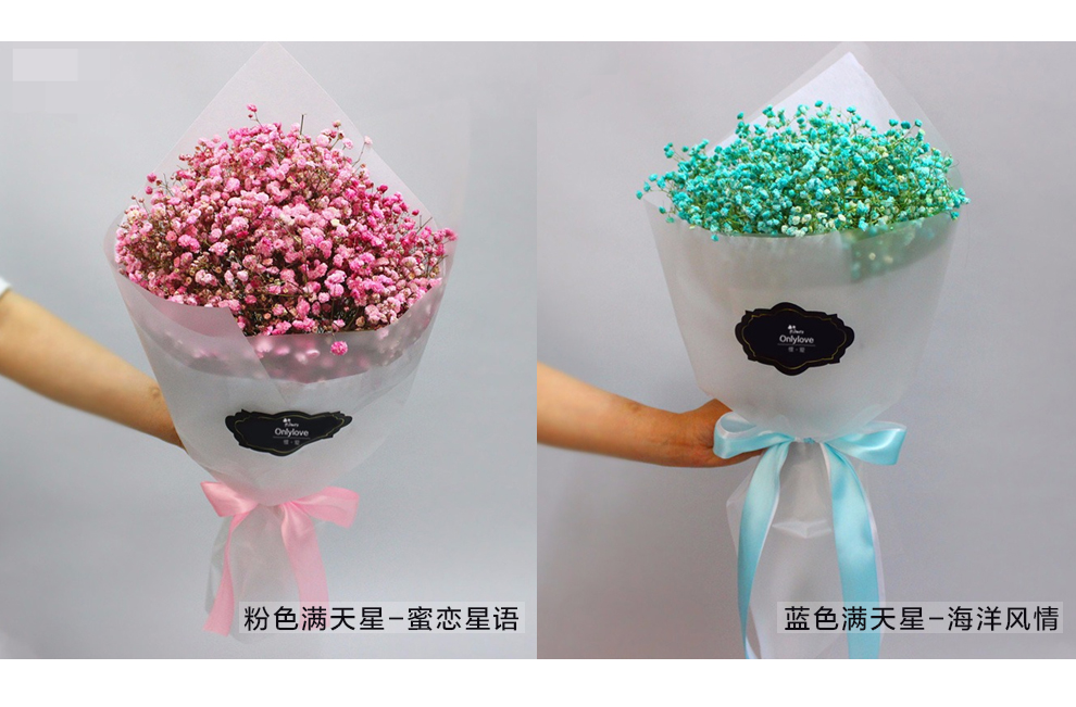 馨冠鲜花速递粉色满天星花束小雏菊礼盒生日毕业送女友全国同城配送