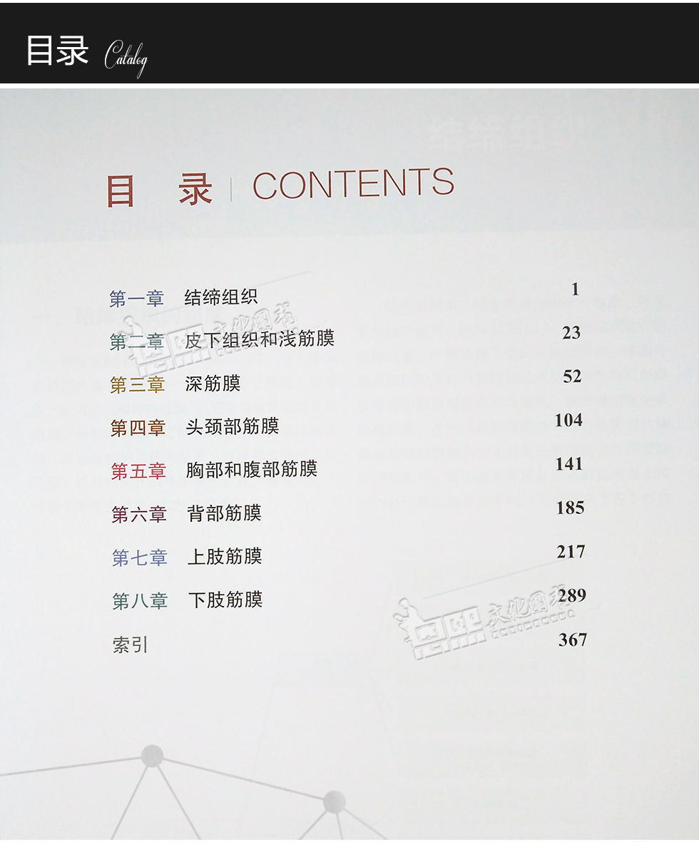 人体筋膜系统功能解剖图谱意大利carlastecco著北京科学技术出版社