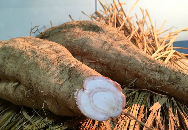 农家新鲜粉葛无渣葛薯粉柴煲汤葛生根葛片 2.