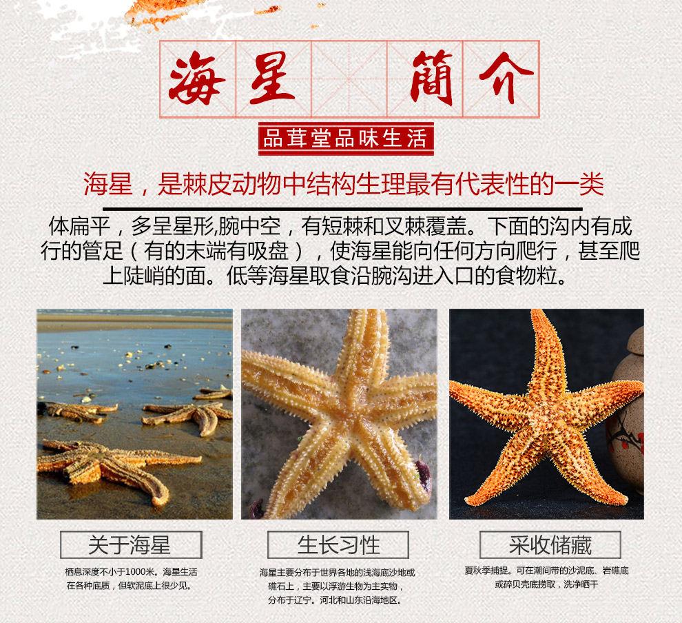 品茸堂海星泡酒料海星干搭配海燕海龙泡酒药材海星1000g