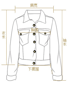 ZK Girl欧美女装 2016春装装新款条纹小西装女 豹纹休闲小西服通勤OL职业装 灰色 M