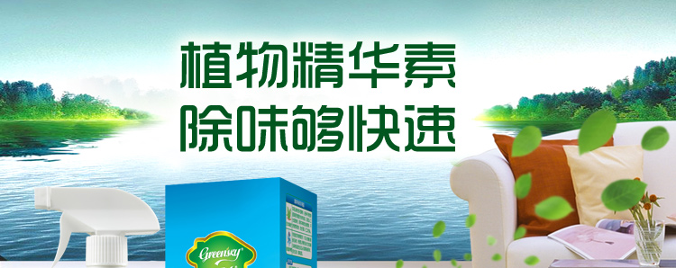 
                                        
                                                            绿驰 装修除味一喷净 新房装修家具甲醛清除剂 植物型除甲醛苯去油漆味 空气净化喷雾剂500ml                