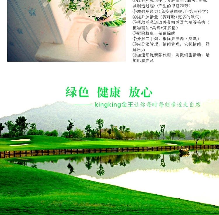 包邮 kingking香薰精油 室内熏香香薰炉香薰机用单方空气精油10ml 尤加利