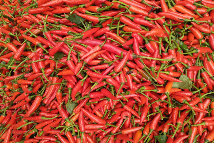 味小仙新鲜小米椒红小米辣椒朝天椒1斤红小米辣