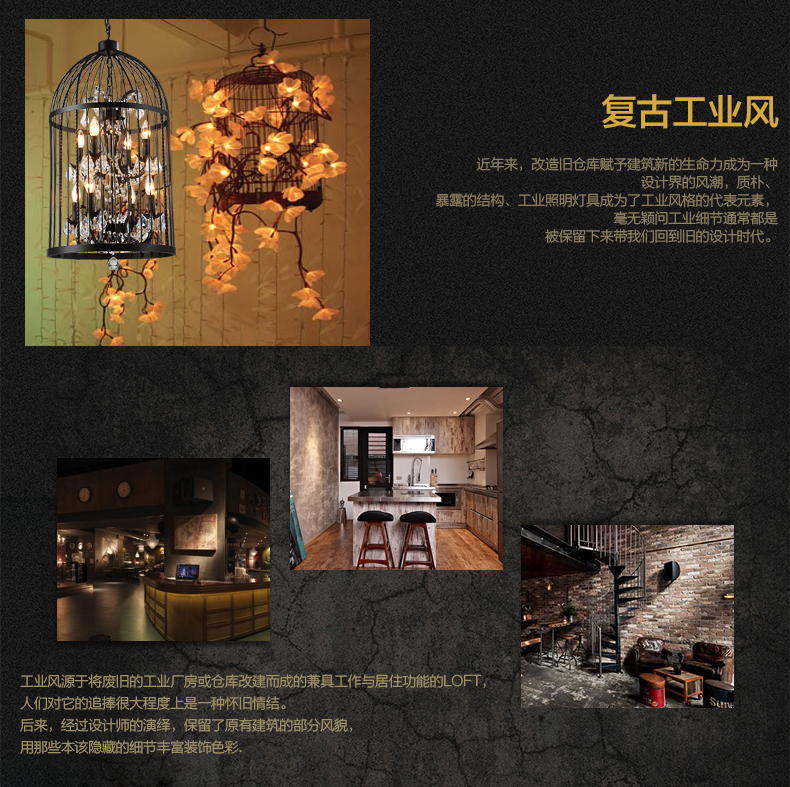 帕克丹顿 欧美式乡村复古水晶鸟笼灯创意个性客厅餐厅书房卧室茶楼吊灯 小号铁锈色