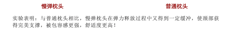 丝域 羽丝绒枕头枕芯可水洗枕护颈五星级酒店枕头芯学生单人 一对(标准款全棉面料-真空包装)