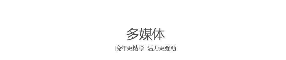 大显(DaXian) V998 移动/联通2G(GSM)手写触屏 智能老人手机 红色