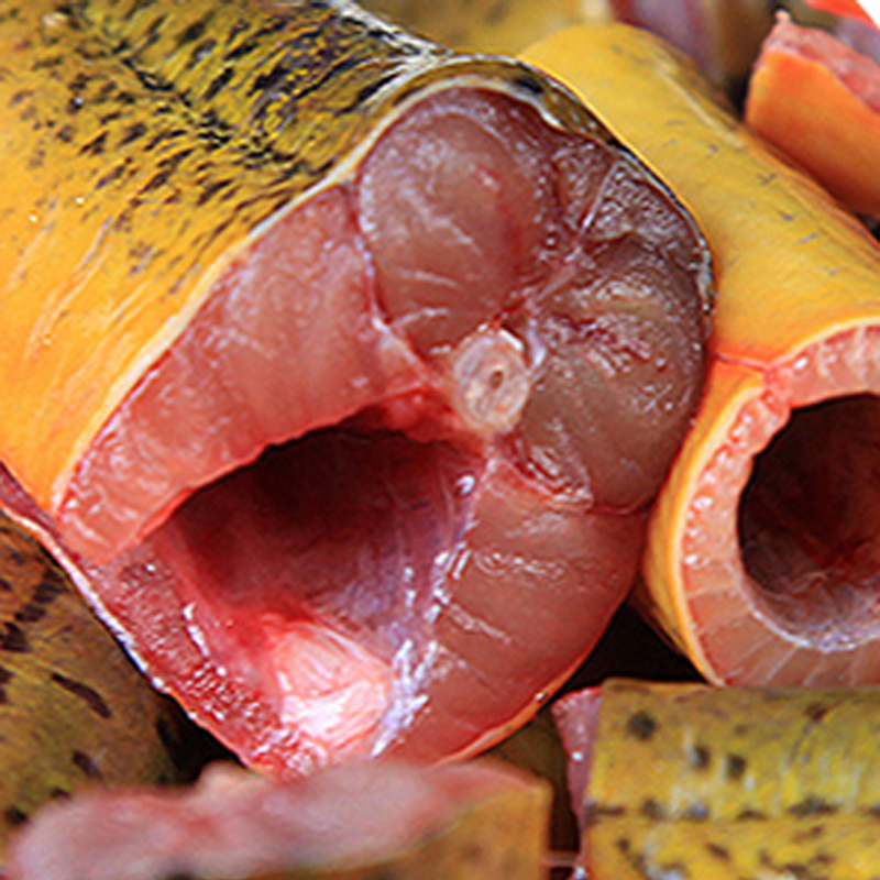 鳝鱼 黄鳝 鳝鱼 顺丰 长鱼 新鲜水产 杀好发货 约2斤 每斤约6-10条