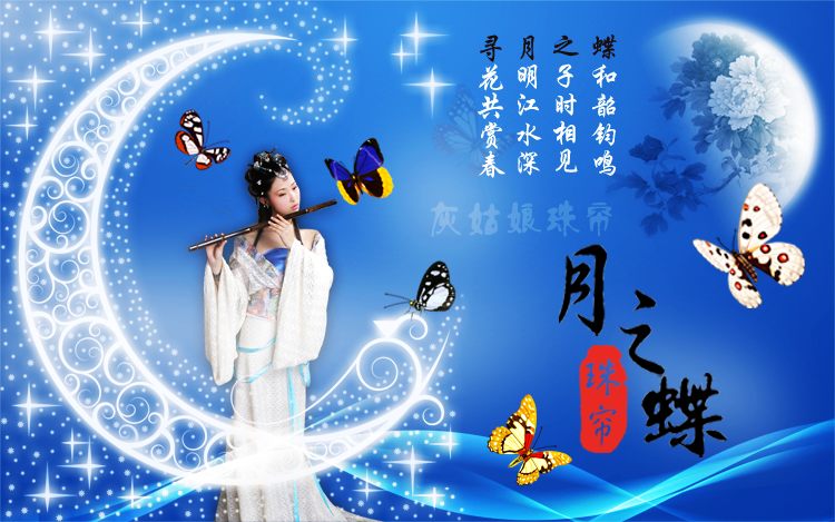 
                                        昌辉（Changhui） 昌辉 晶莹水晶珠帘风水隔断帘子客厅通道时尚婚庆装饰实惠蝴蝶门帘 其他 10根2米高                