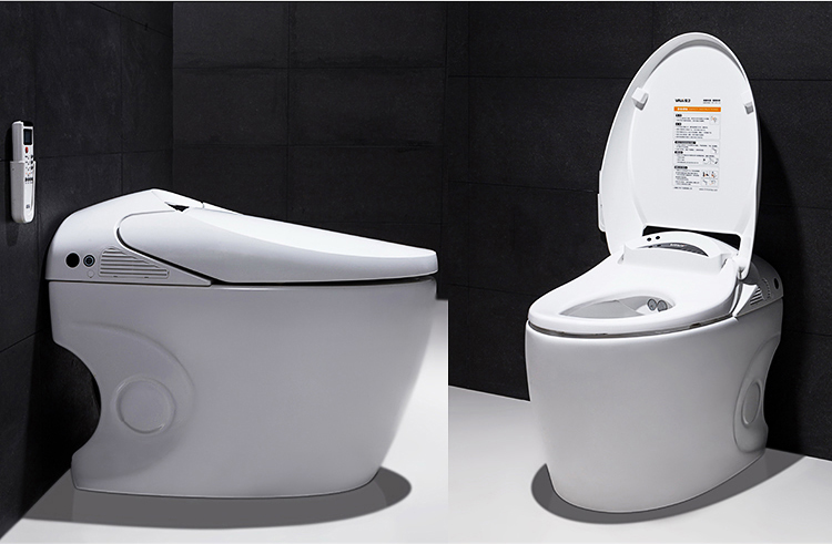 维卫(vivi) 智能马桶超漩虹吸式有遥控一体坐便器 v-821 高性价比马桶