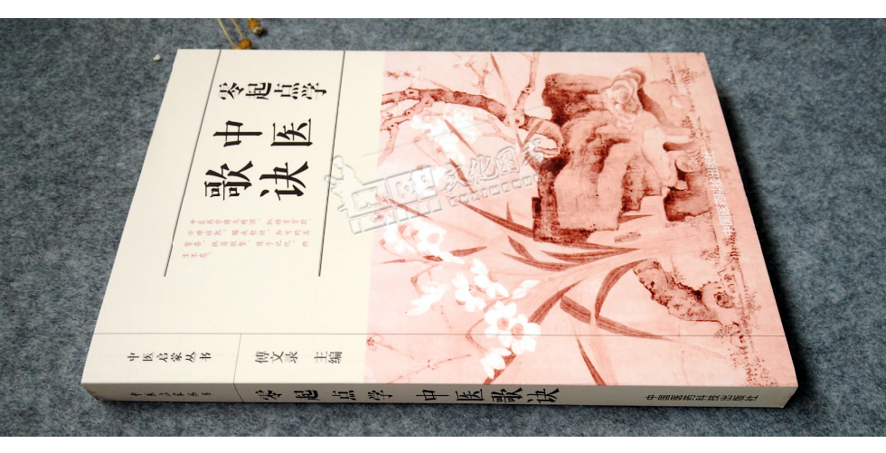 零起点学中医歌诀中医启蒙丛书傅文录编著中国医药科技出版社