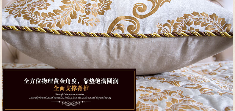 真琴 欧式沙发抱枕办公室午睡靠垫套车用靠背 丝绒压花 须须款 60*60cm靠垫含芯