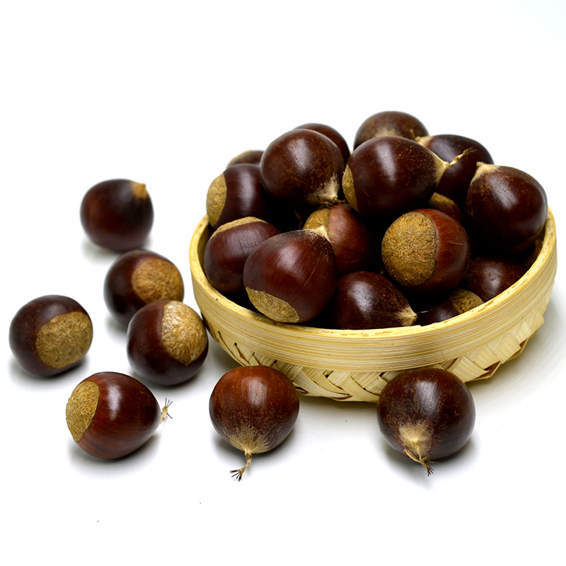 青樱红荔油栗生新鲜毛栗子25kg新鲜板栗生栗现摘甘栗零食