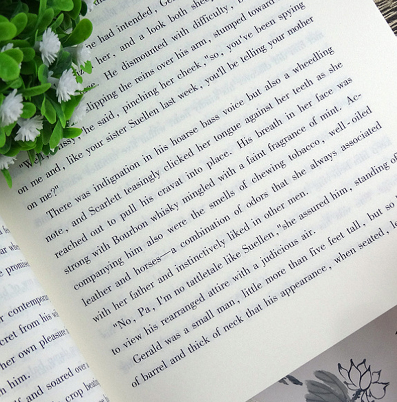 飘 原版书籍全英文 gone with the wind 飘上下全集2册英文版原著正版