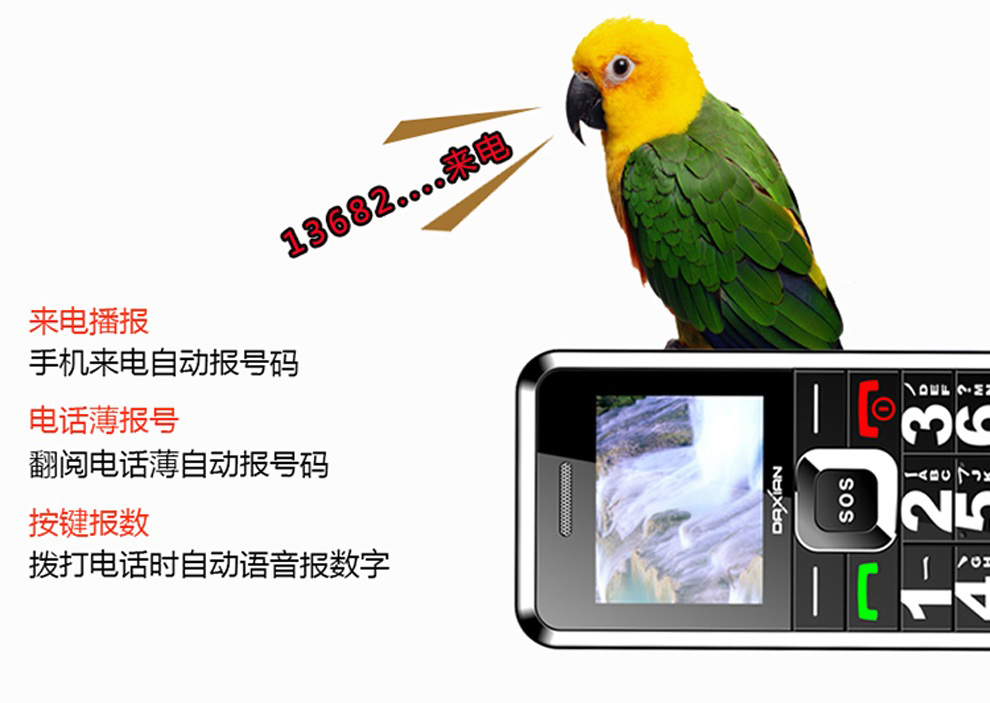大显（DaXian）D189 移动/联通2G 老人手机 红色 官方标配