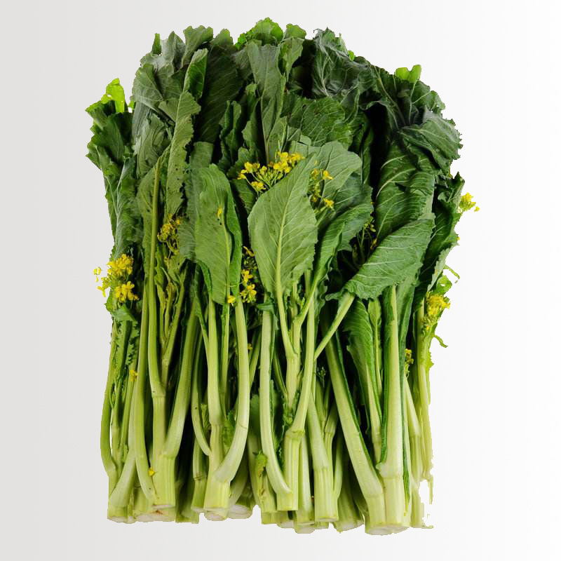 维桑 迟菜心 增城特产 小楼高脚菜心 广东菜心 5斤 新鲜蔬菜 现摘现发