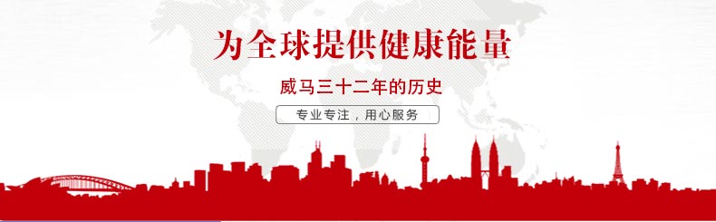 香港威马GOODWAY 蒸汽电熨斗 900W 家用迷你型电烫斗熨衣机 G-822