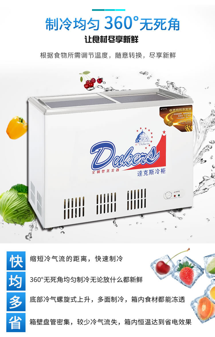 达克斯单温玻璃门冷柜雪糕柜达克斯便利店冰激凌冰柜鲜肉海鲜蔬菜冷藏