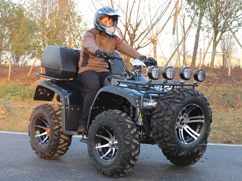 四輪越野摩托車龍鼎全地形車差速軸傳動200cc山地車場地車250cc舒適型