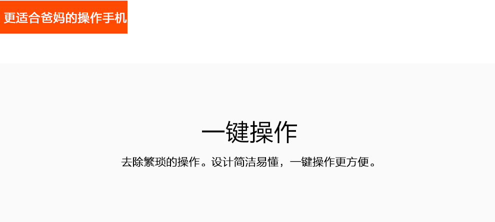 
                                        守护宝（上海中兴）L530G 移动/联通2G 老人手机 黑色                