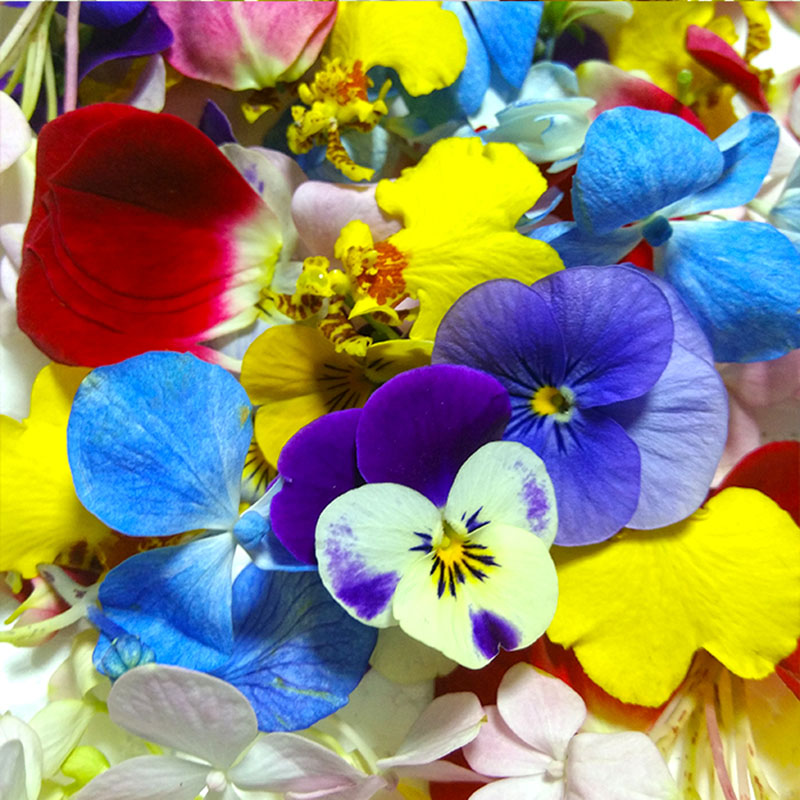 【顺丰】新鲜三色堇可食用花草 酒店西餐烘焙糕点摆盘装饰点缀花朵