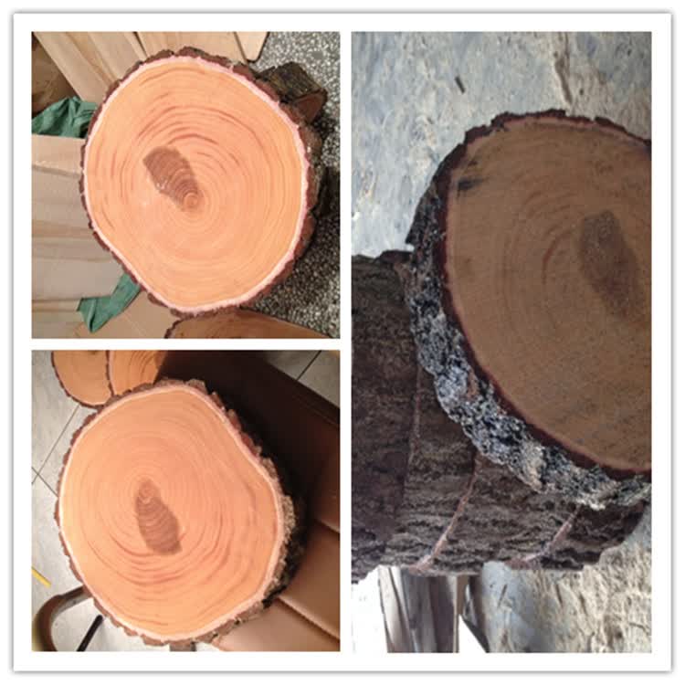 舌尖上的中国泰兴银杏树木砧板实木菜板整木 白果树圆形菜墩zd 去皮加