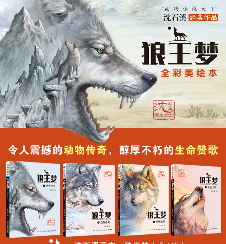 正版沈石溪画本·狼王梦(套装) 儿童文学动物小说书籍 四五六年级中小